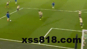 981ed2cfg00t6b97x015qd0009w005km