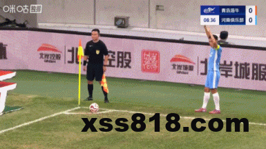 233fa74bg00t1rauo048pd000ap0060g